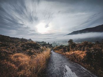 Road amidst trees against sky