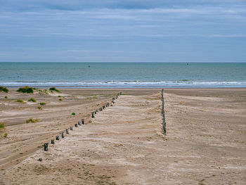 Wooden stakes leading the way towards the ocean on a naturally developed sand beach