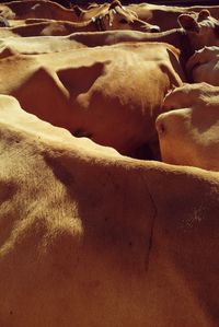 Full frame shot of sunlight