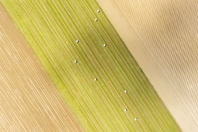 Full frame shot of wet leaf