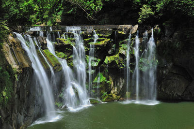 Scenic view of waterfall in forest