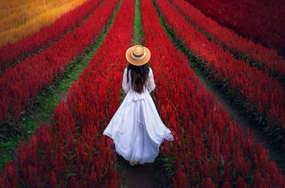 Rear view of woman with umbrella on field