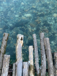 High angle view of wooden post in sea