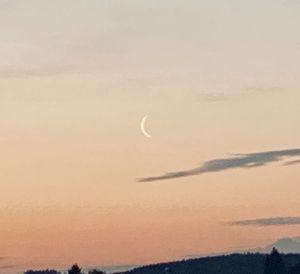 Low angle view of moon in sky at sunset