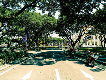 Road amidst trees in city