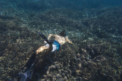 Shirtless man snorkeling undersea
