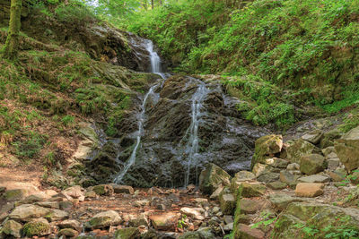 Scenic view of waterfall in forest