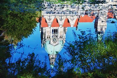 Reflection of trees and buildings in city