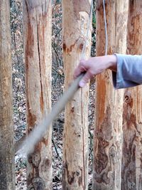 Midsection of person holding tree trunk by fence