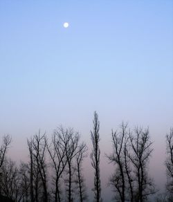 Low angle view of bare trees against clear sky