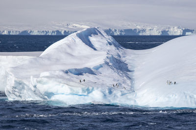 Floating icberg in the sun with penguins on it