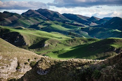 Beautiful landscape of green mountains and sheep in hawke's bay, new zealand