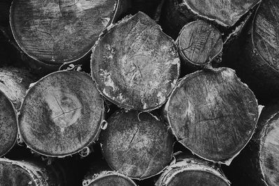 Full frame shot of logs