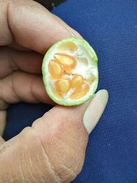 Close-up of hand holding apple