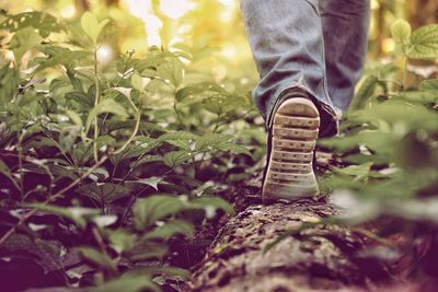 Low section of person standing on ground