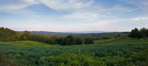 Scenic view of landscape against sky