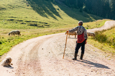 Rear view of man standing on land