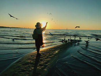 Rear view of woman feeding birds at beach during sunset