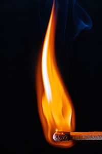 Close-up of fire against black background