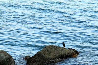 Rocks in sea