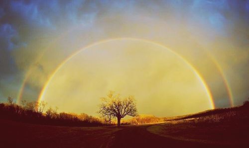 Scenic view of rainbow over landscape