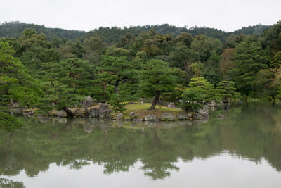 Scenic view of lake by trees against sky