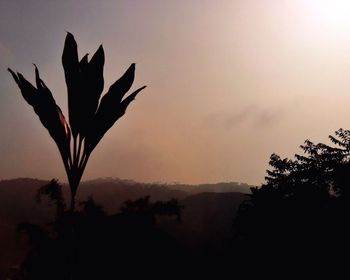 Scenic view of landscape against sky at sunset