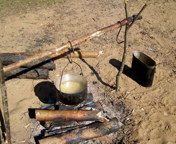 Close-up high angle view of leaves