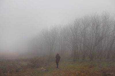 Rear view of man walking on bare trees in foggy weather