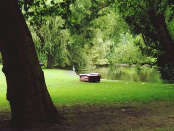 Car on tree by grass against trees
