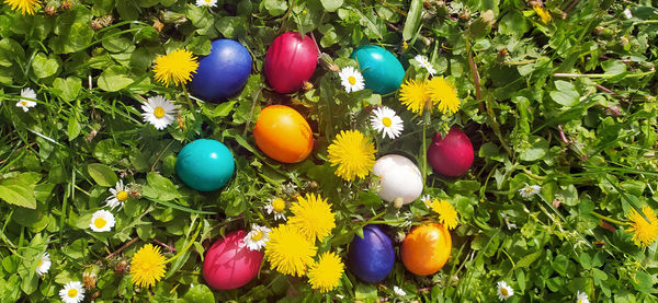 Close-up of christmas decorations