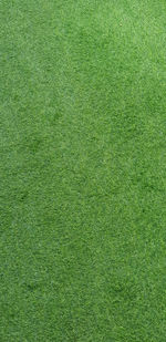 Full frame shot of green grass