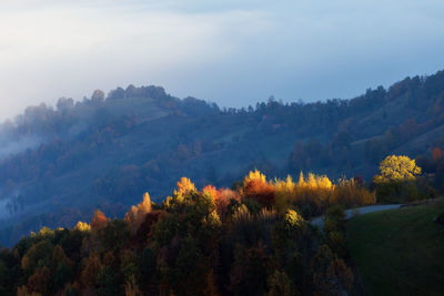 Trees on mountain against sky during autumn