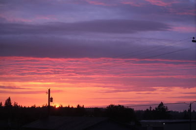 Silhouette of trees at sunset