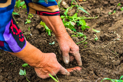 Midsection of man working on field