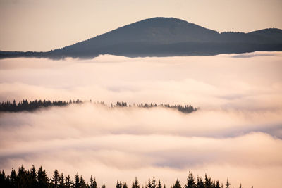 Low angle view of silhouette mountain against sky during sunset. field of mist.