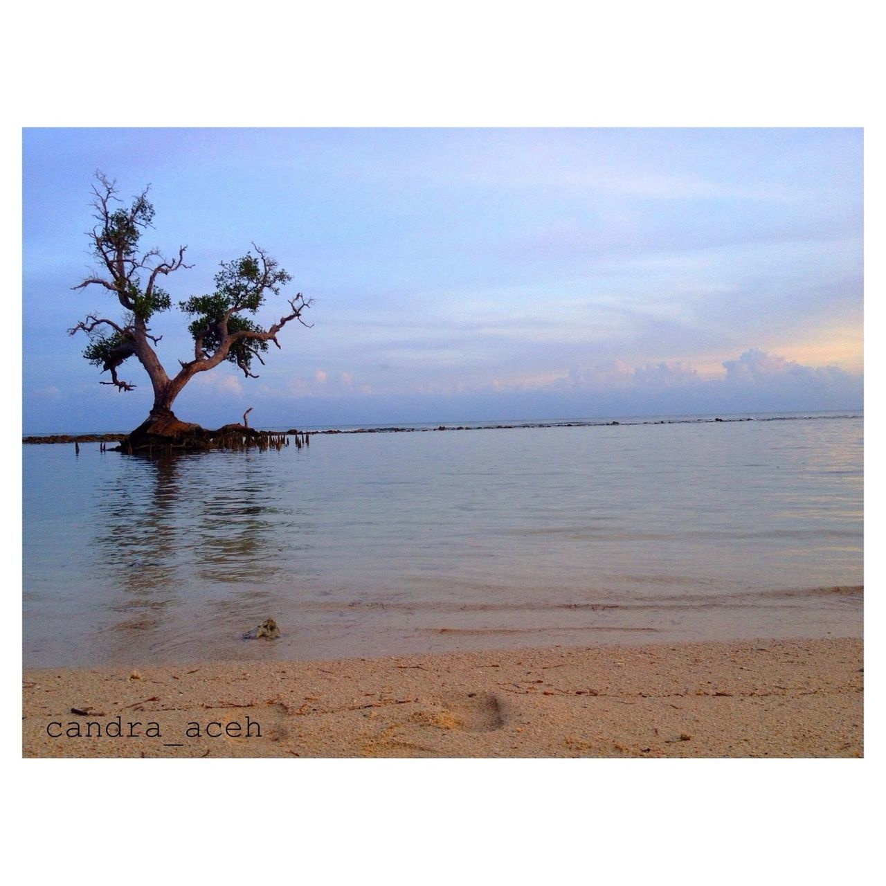 transfer print, water, auto post production filter, tranquil scene, tranquility, scenics, beauty in nature, sky, tree, nature, sea, horizon over water, reflection, lake, idyllic, sunset, beach, cloud - sky, shore, outdoors