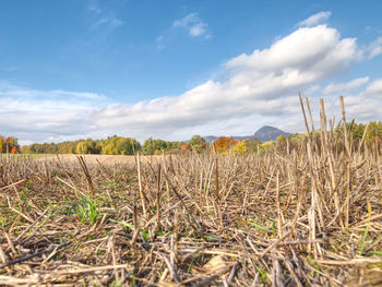 Stubble harvested wheat field at and of summer time, hills at horizon