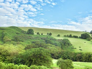 Scenic view of grassy field against sky