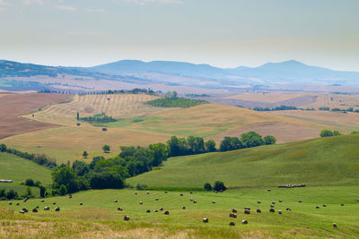 Scenic view of agricultural landscape against sky