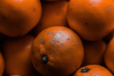 Close-up of oranges