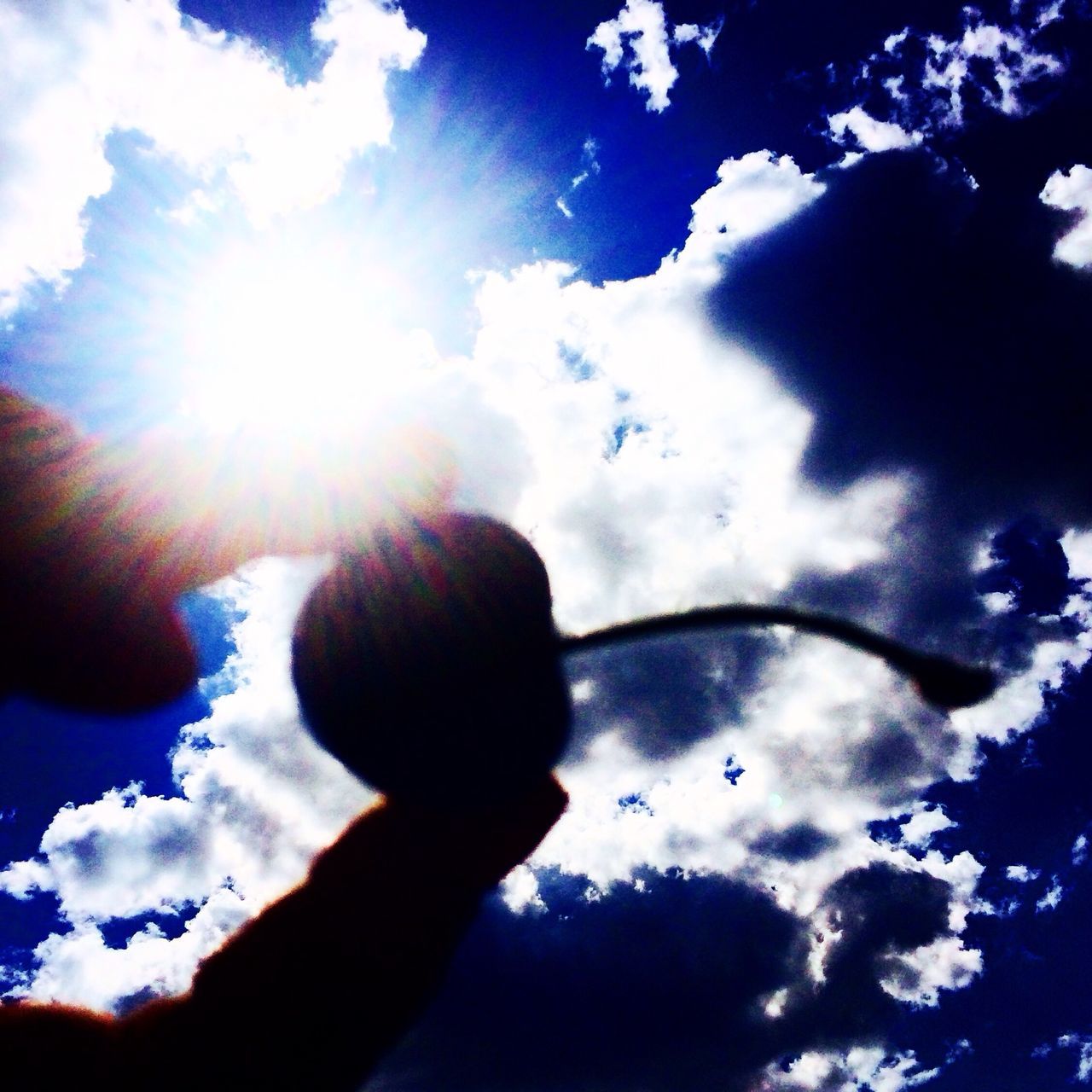 sky, leisure activity, cloud - sky, lifestyles, low angle view, men, cloud, cloudy, childhood, blue, nature, silhouette, boys, reflection, togetherness, sunlight, enjoyment