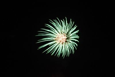 Low angle view of firework display against sky at night