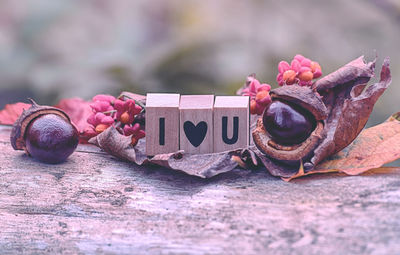 Close-up of pink flowers on table