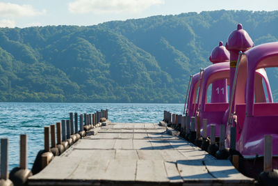 Empty pink paddle boats docked by the lake.