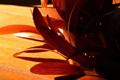 High angle view of orange table