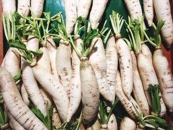 High angle view of vegetables for sale at market stall