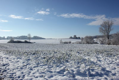 winter