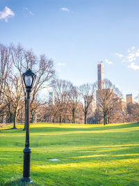 Trees on field against sky