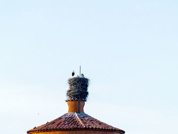 Low angle view of birds on roof against clear sky